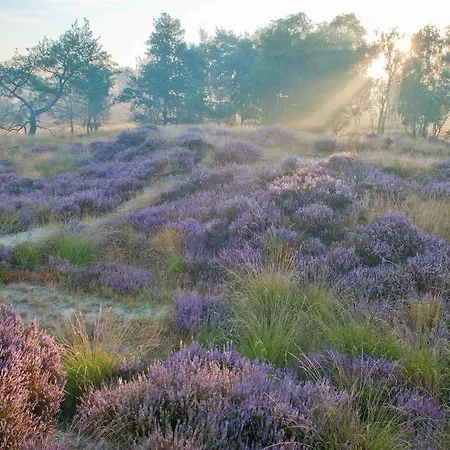 Landhuisjes Bij De Wouterbron